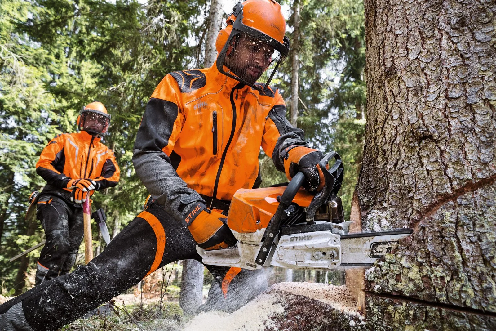 A forestry worker in STIHL protective gear felling a large tree with a STIHL professional chainsaw